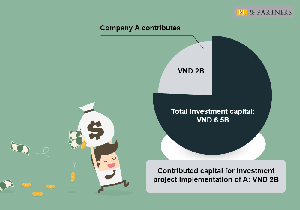 Example for contributed capital for investment project implementation